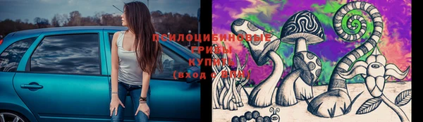 ешки Майский