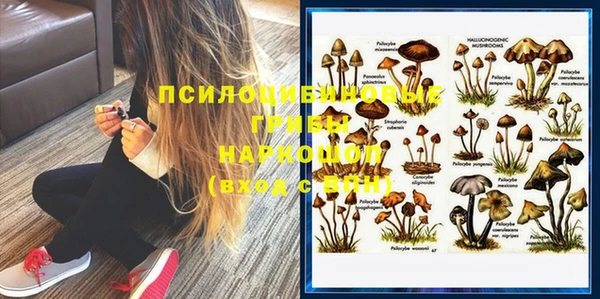 гашик Магас