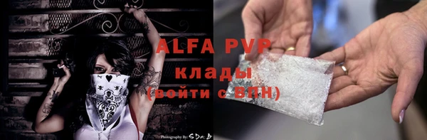 гашик Магас