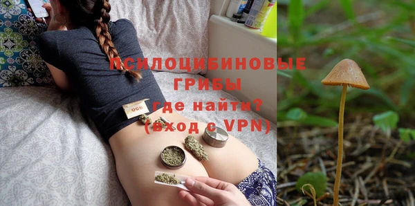 гашик Магас