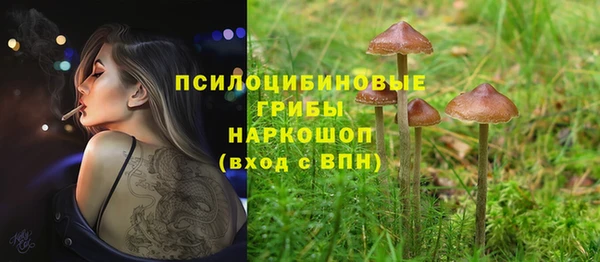 спиды Магадан