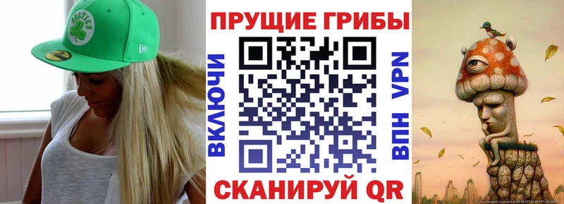Галлюциногенные грибы Psilocybe  Купить где  Жердевка 