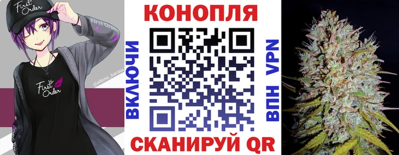 Купить где  Жердевка  Бошки Шишки THC 21% 